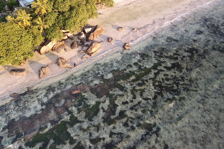 Seychelles Island Tour (PRIVATE 4 hours or 8 Hours)