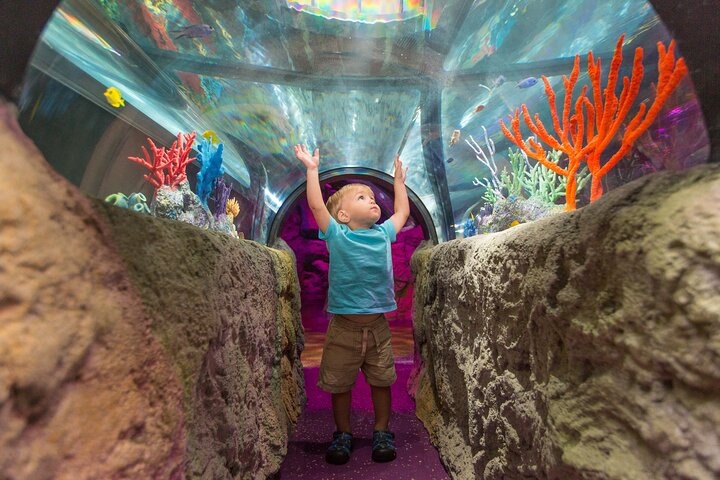SEA LIFE Aquarium Minnesota Admission Ticket at Mall of America
