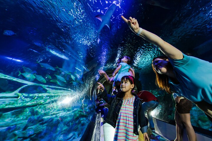 SEA LIFE Aquarium Minnesota Admission Ticket at Mall of America