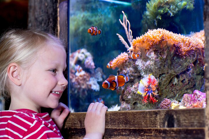 SEA LIFE Kansas City Aquarium Admission Ticket