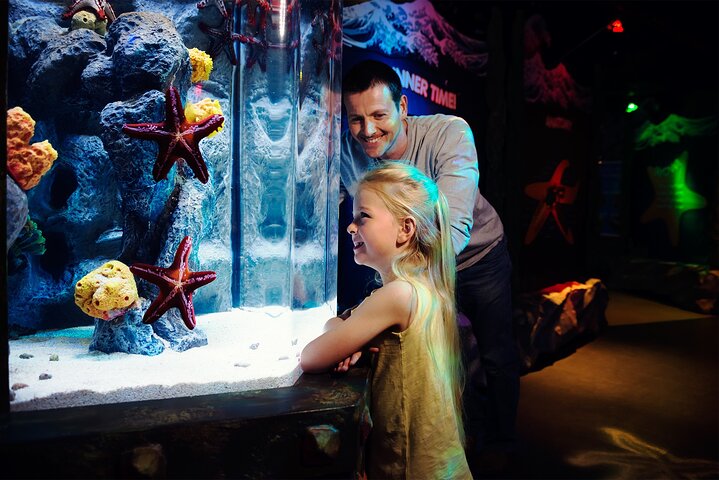 Sea Life Charlotte Concord Aquarium Admission Ticket