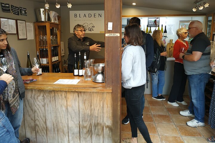 Marlborough Afternoon Wine Tour & Vineyard Experience
