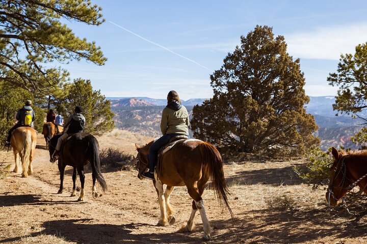 Ruby's Horseback Adventures Utah 1.5 Hour Ride