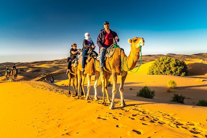 1 night Merzouga camel Trekking