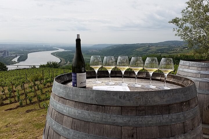 Rhône Valley Wine Tasting Private Day Tour from Lyon
