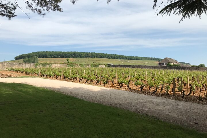 Full-day Private Burgundy Wine Route Tour from Beaune