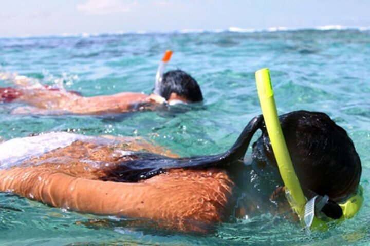 Snorkel & Dolphin Sightseeing Tour Aboard the Footloose