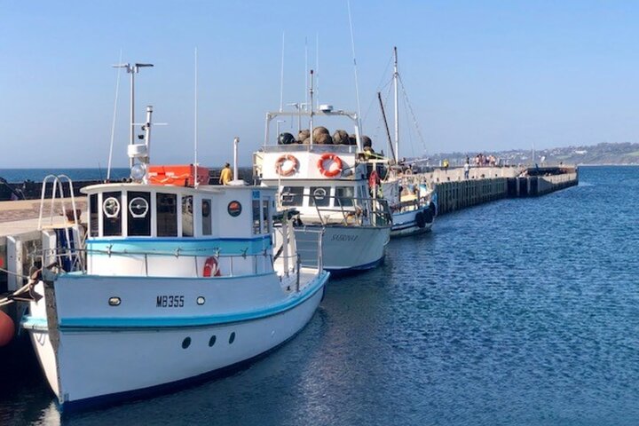 Mornington Peninsula Day Tour. Your Day Your Way. Your group only