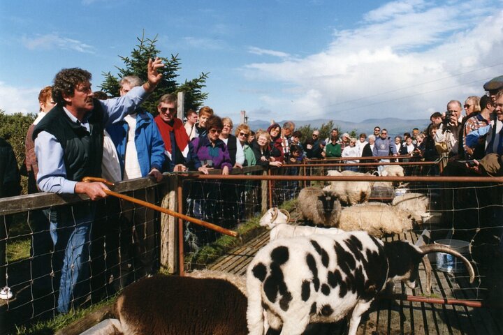 Full-Day Ring of Kerry Tour from Killarney