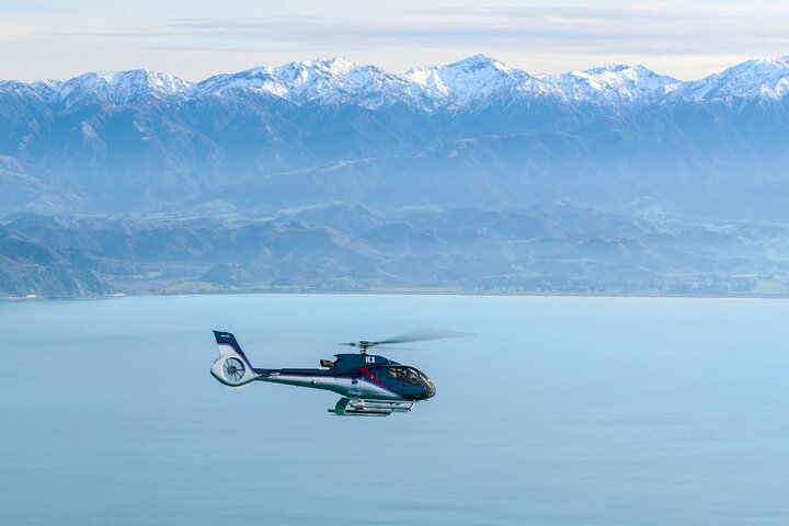 Kaikoura Helicopters Extended Whale Watch