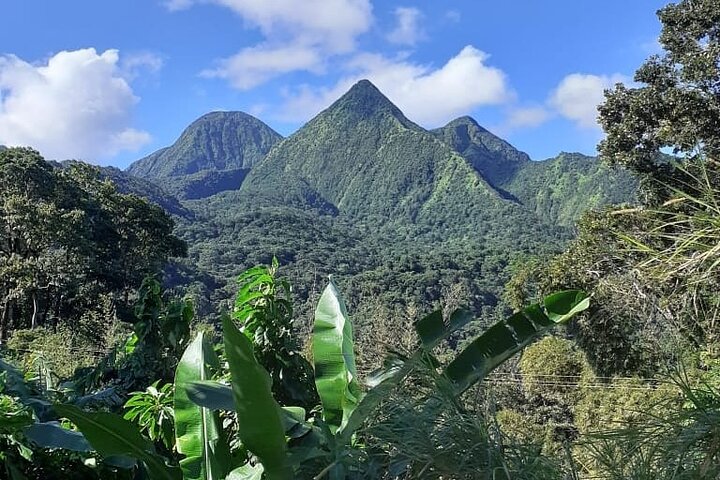 North Island Tour and Martinique Best Secret