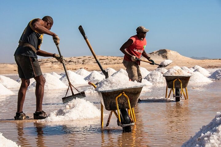 All inclusive full-Day Tour in Sal Island (Lunch and all fees included)