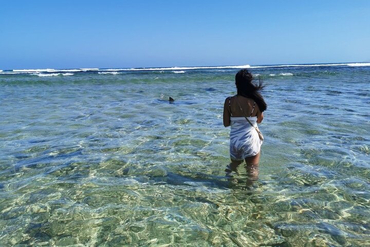 All inclusive full-Day Tour in Sal Island (Lunch and all fees included)