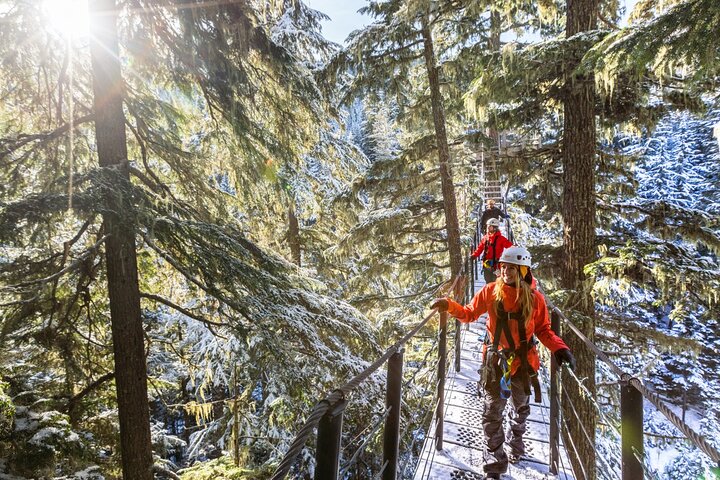 Zipline Adventure in Whistler