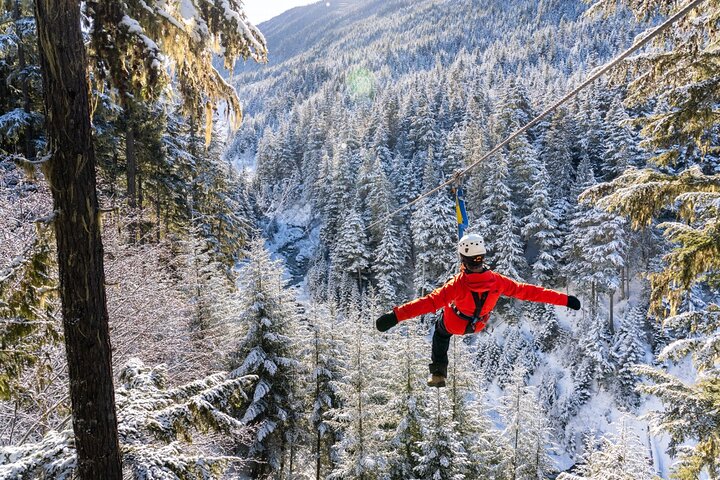 Zipline Adventure in Whistler