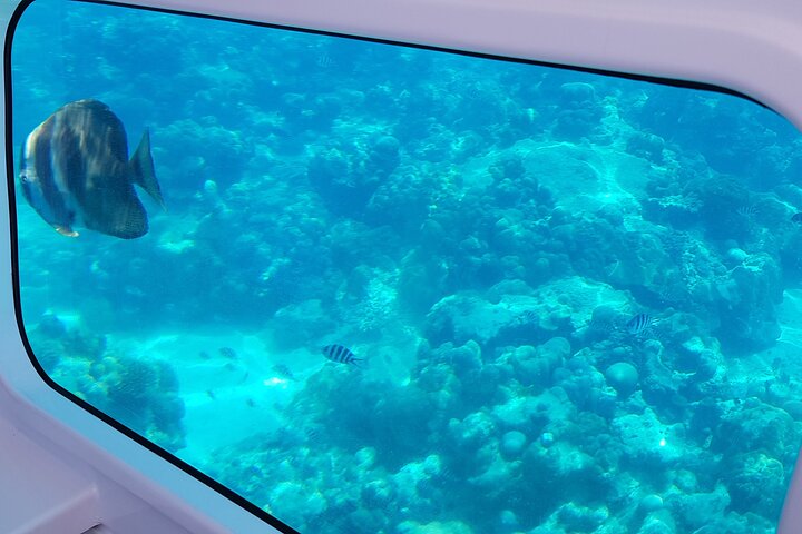 Semi Submarine Tour in Saint Anne Marine National Park