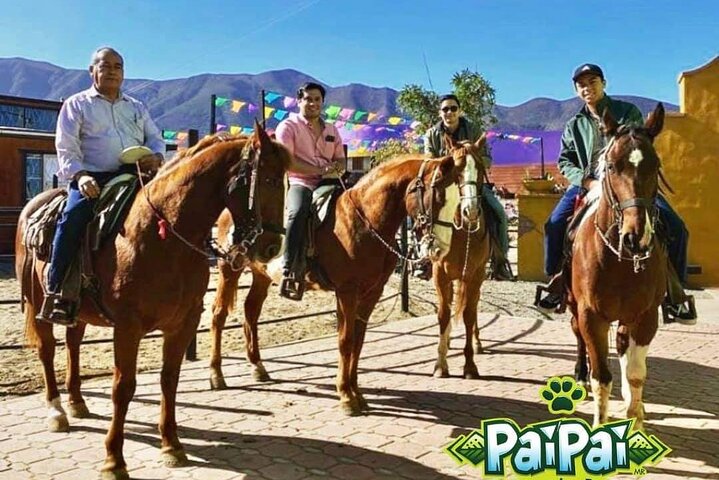 Tour la buffadora/pai pai park/four fours vineyard