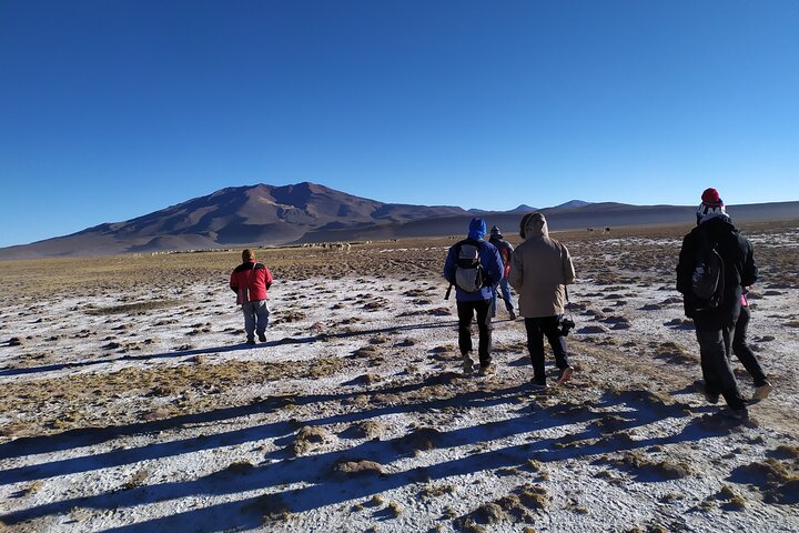 Salar de Uyuni with Lodging - 2 full days - With Minor Lagoons