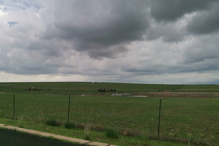 Private Full-Day Tour to Huitengxile Grassland from Hohhot