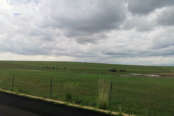 Private Full-Day Tour to Huitengxile Grassland from Hohhot