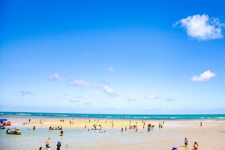 Catamaran trip to Areia Vermelha Island with transfer
