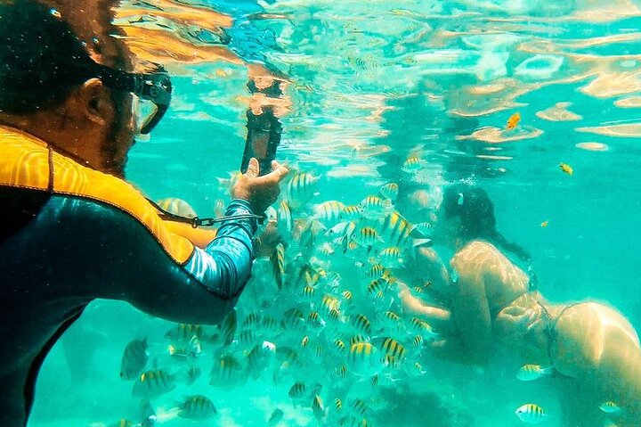 Catamaran Tour to the Seixas Natural Pools