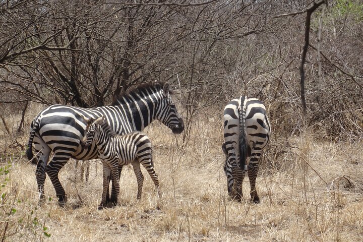5-Day Omo Valley Tribal Adventure – From Arbaminch to Jinka