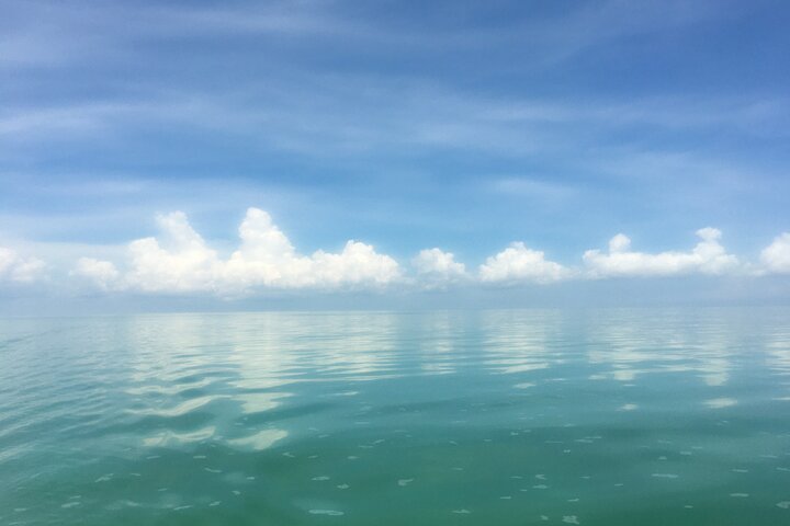 Caye Caulker Sailing with Snorkeling Hol Chan and Shark Ray Alley