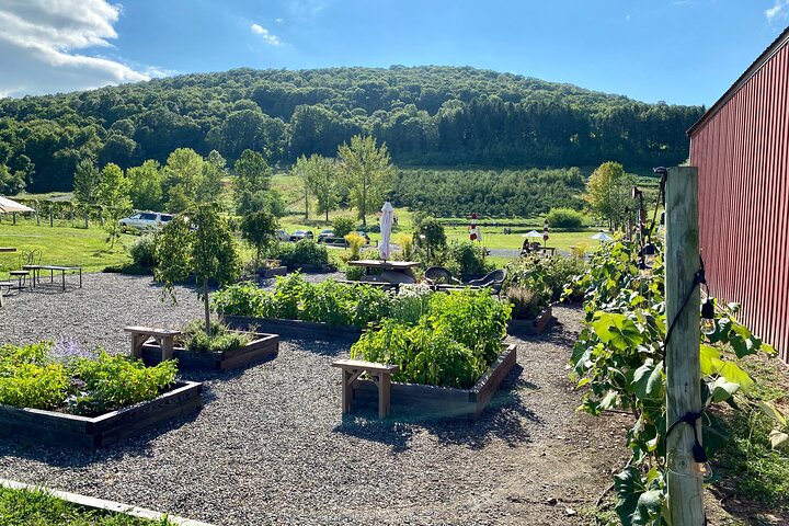 Walkway Over the Hudson & Wineries- Private Transport