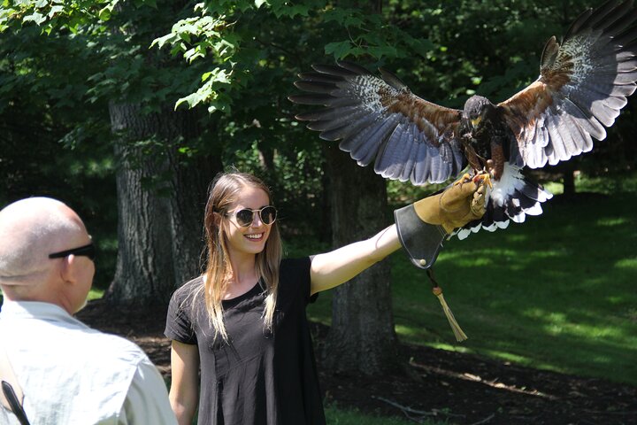 Colorado Springs Hands-On Falconry Class and Demonstration