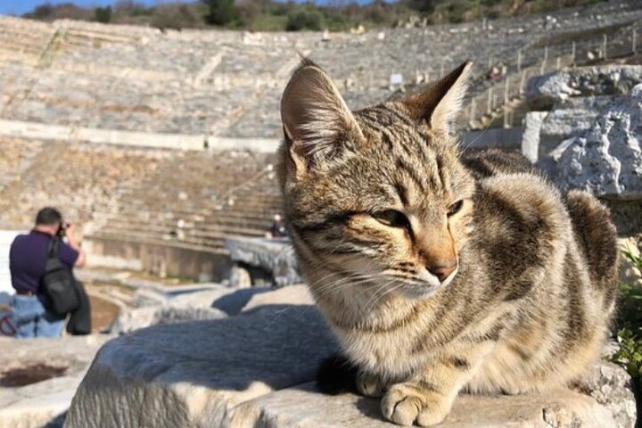 Private Tour : Biblical Ephesus Tour for Cruisers from Kusadasi ( Ephesus ) Port