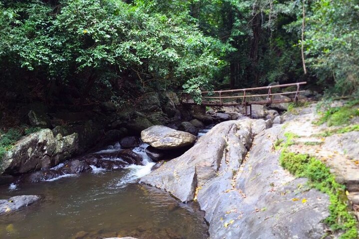Small-Group Pala U Waterfall Jungle Tour from Hua Hin