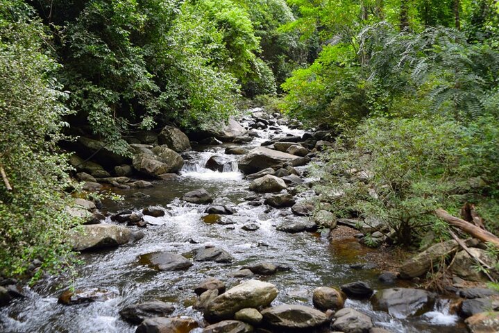 Small-Group Pala U Waterfall Jungle Tour from Hua Hin
