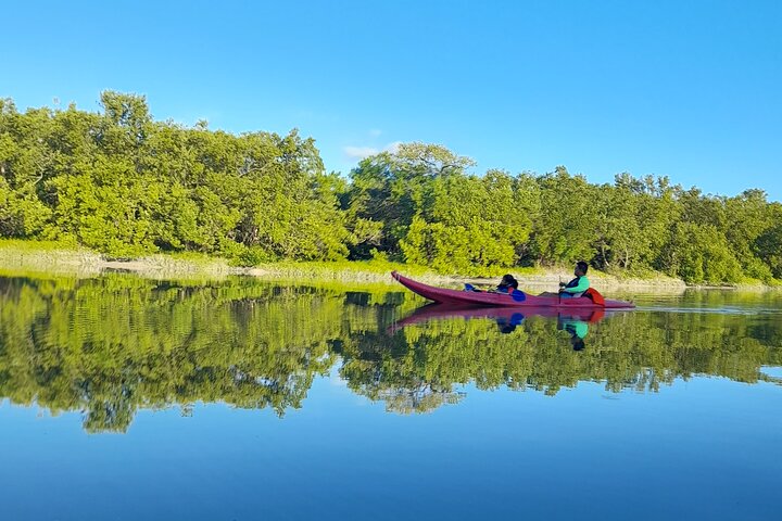 Kayak Experience in the Mangroves of Holbox Island