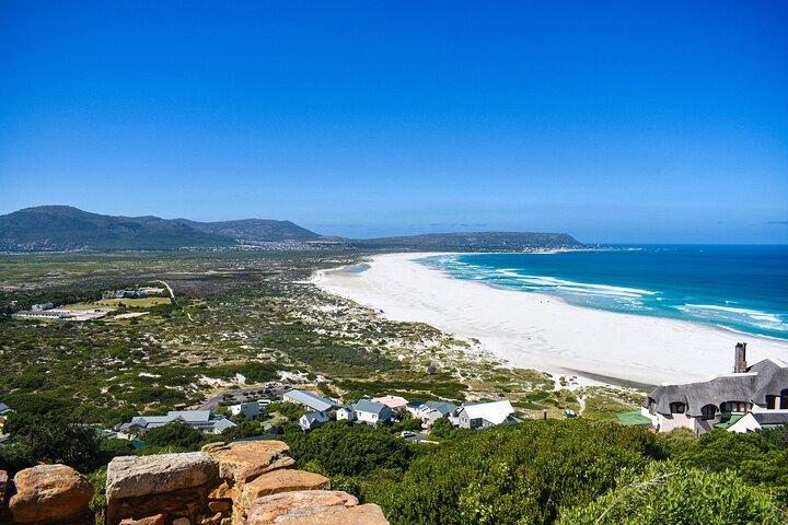 Cape of Good Hope and Boulders Penguins Day Tour from Cape Town