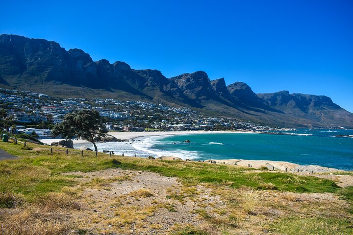 Table Mountain, Boulders Penguins and Cape point Day Tour