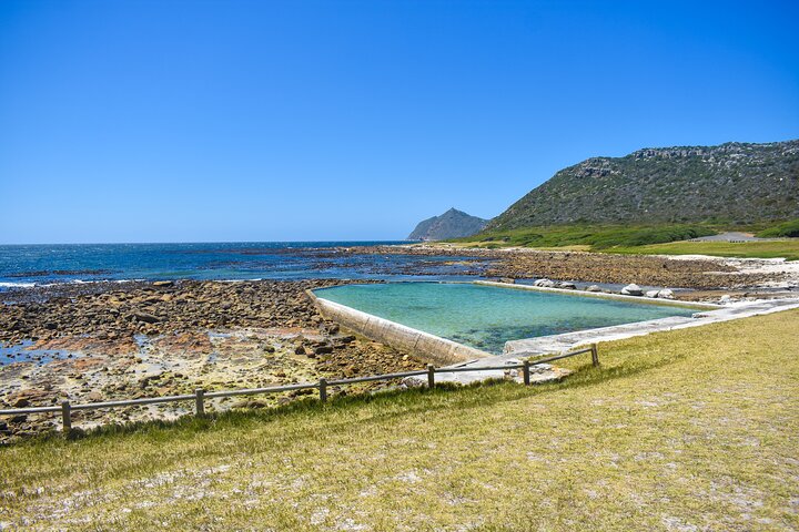 Table Mountain, Boulders Penguins and Cape point Day Tour