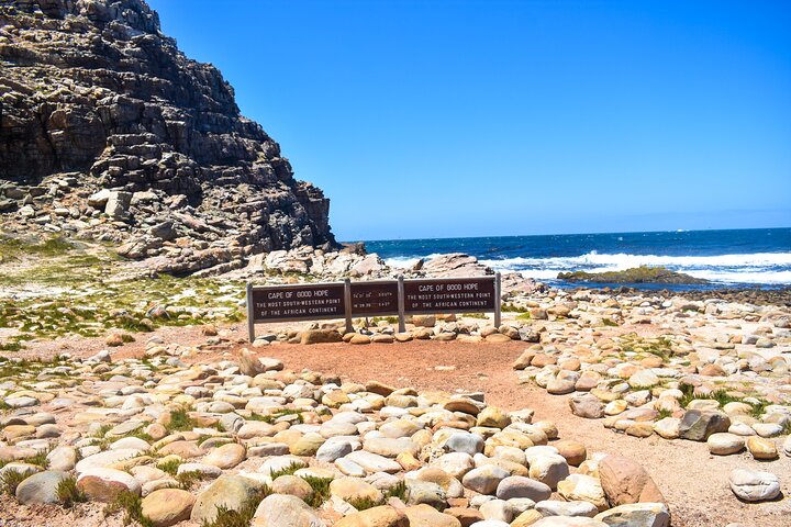 Table Mountain, Boulders Penguins and Cape point Day Tour