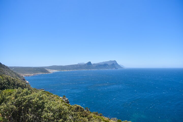Table Mountain, Boulders Penguins and Cape point Day Tour