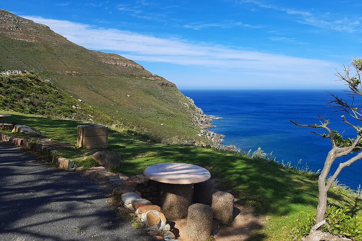 Table Mountain, Boulders Penguins and Cape point Day Tour