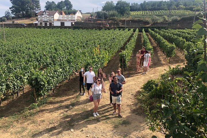 Douro Valley Premium Small-Group Tour: Wine, Lunch & Cruise