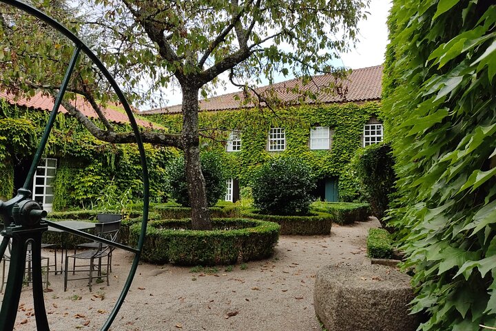 Douro Valley Premium Small-Group Tour: Wine, Lunch & Cruise