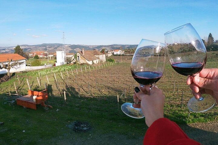 Douro Valley Premium Small-Group Tour: Wine, Lunch & Cruise
