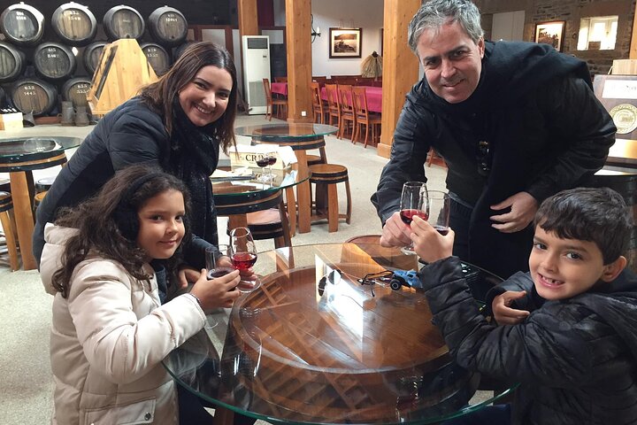 Douro Valley Premium Small-Group Tour: Wine, Lunch & Cruise