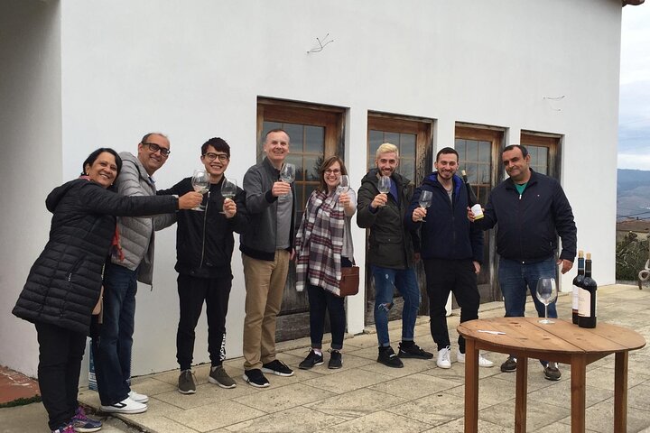 Douro Valley Premium Small-Group Tour: Wine, Lunch & Cruise