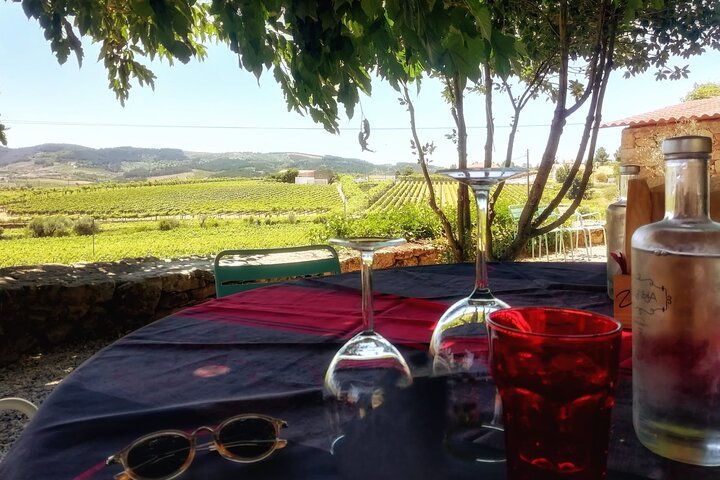 Douro Valley Premium Small-Group Tour: Wine, Lunch & Cruise
