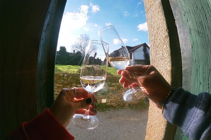 Douro Valley Premium Small-Group Tour: Wine, Lunch & Cruise