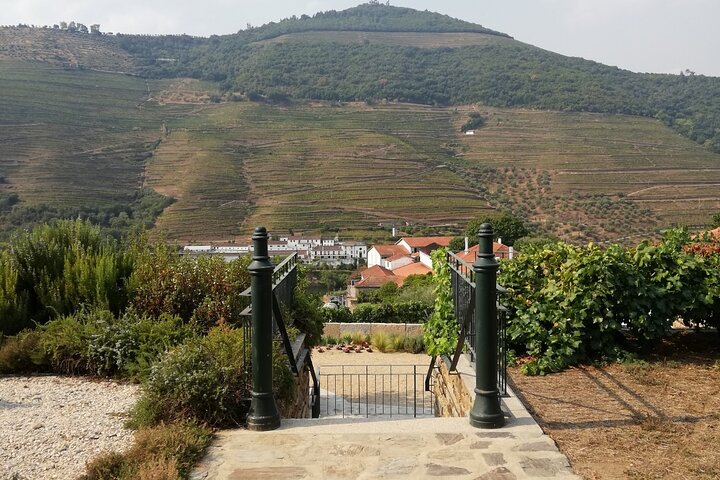 Douro Valley Premium Small-Group Tour: Wine, Lunch & Cruise