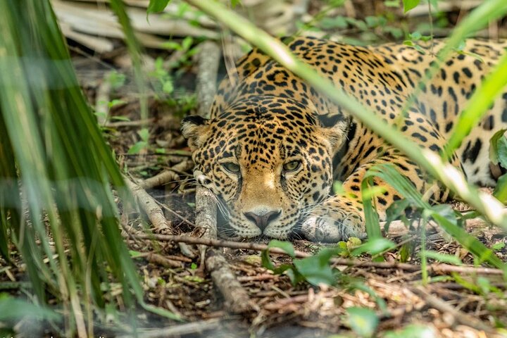 3-Day Adventure and Nature Tour in Huasteca Potosina from Ciudad Valles