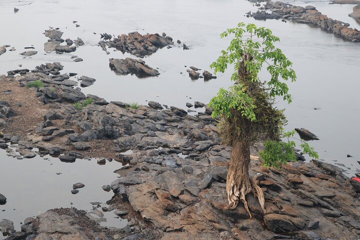 10D/ 9N Cameroon Cultural Tour